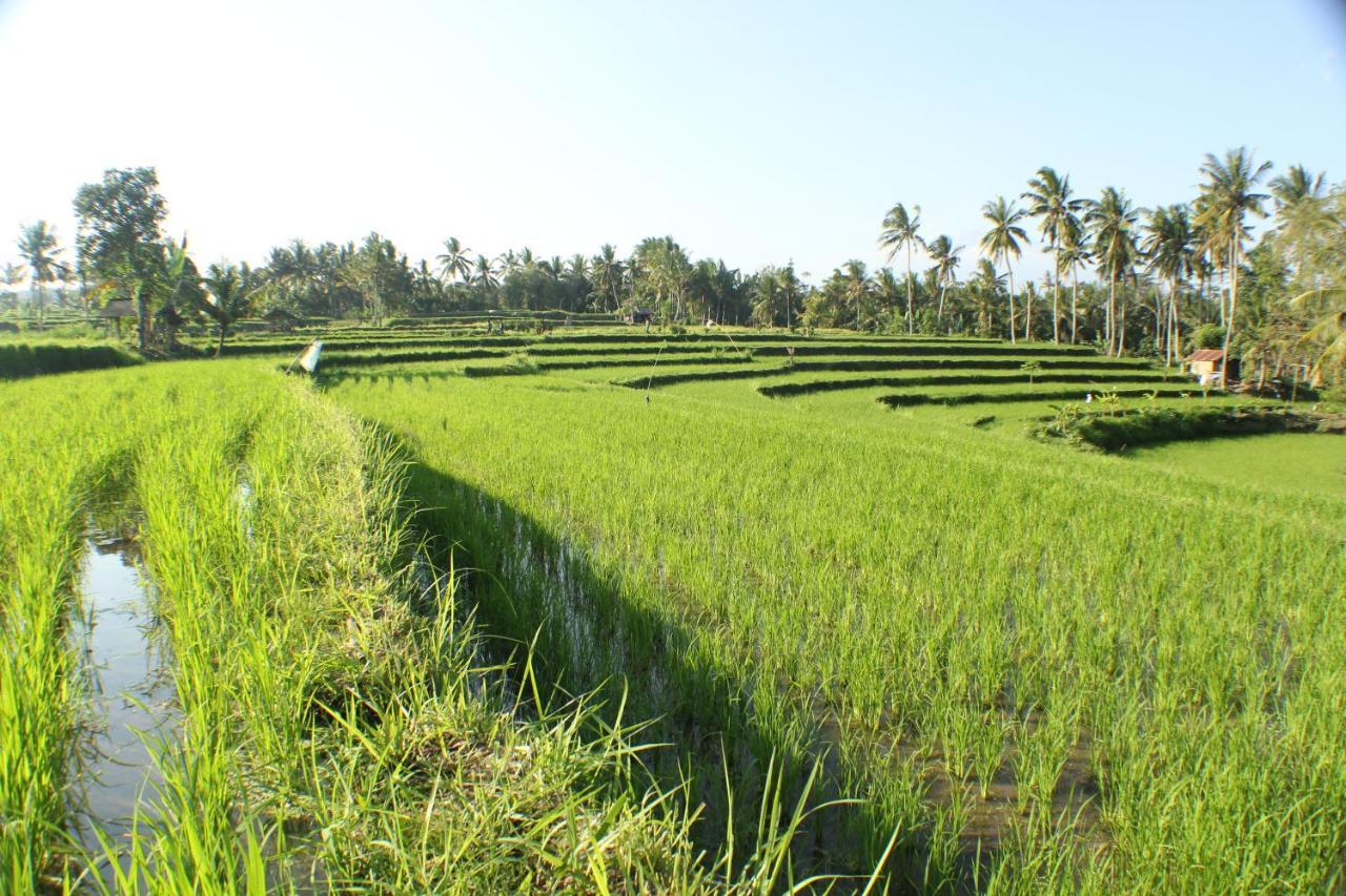 Telagamas Guest House Banjarangkan Luaran gambar